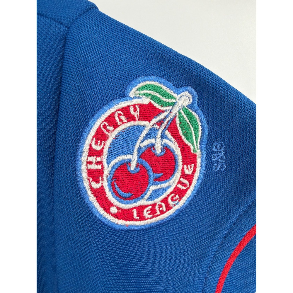 Steve & Barrys Motor City Baseball Jersey Dress Blue Red Cherry League Large - Picture 6 of 7